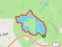 Thetis Lake Relay (2017) - 2nd, 3rd, 4th laps